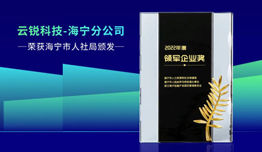 真人力获人社局颁发“2022领军企业”奖项！