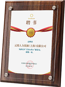 2022年度解决方案大奖